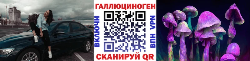 Галлюциногенные грибы Psilocybe  Староминская 