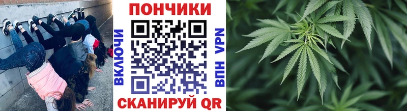 MEGA ССЫЛКА  маркетплейс какой сайт  МАРИХУАНА ГИДРОПОН  дарнет шоп  Староминская 